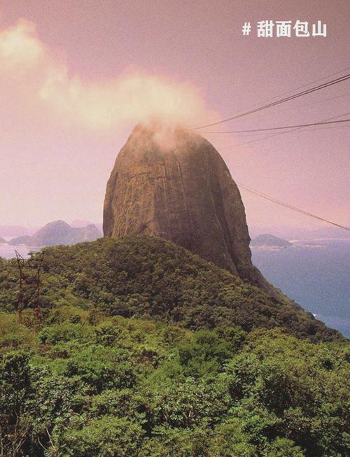 o'que-é-sangue - Tendências de apostas no Brasil