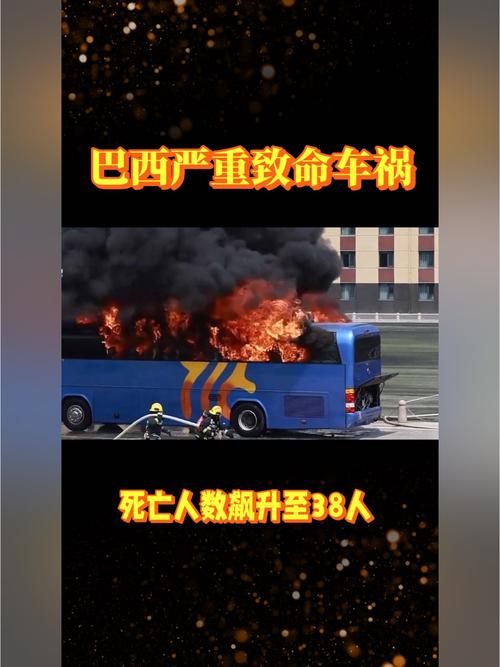 bolsa-de-plaquetas - Tendências de apostas no Brasil